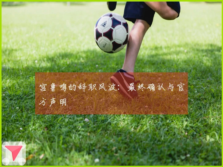 宫鲁鸣的辞职风波：最终确认与官方声明