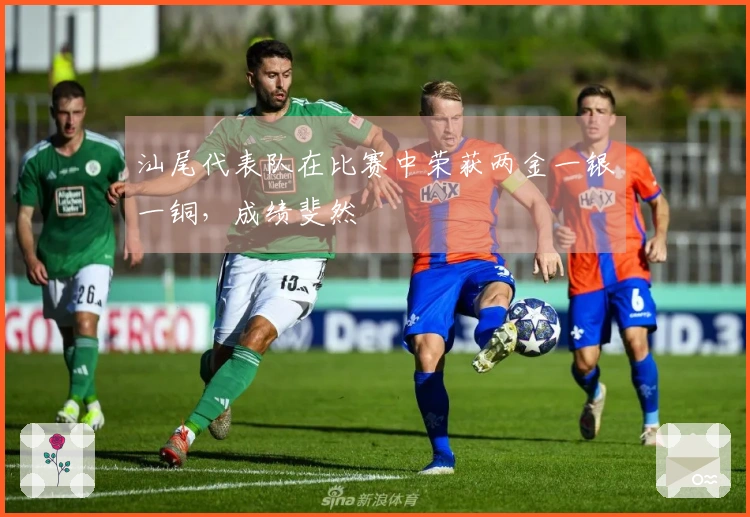 汕尾代表队在比赛中荣获两金一银一铜，成绩斐然